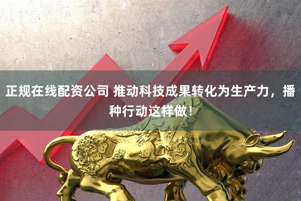 正规在线配资公司 推动科技成果转化为生产力，播种行动这样做！
