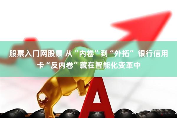 股票入门网股票 从“内卷”到“外拓” 银行信用卡“反内卷”藏在智能化变革中