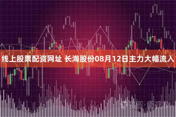 线上股票配资网址 长海股份08月12日主力大幅流入